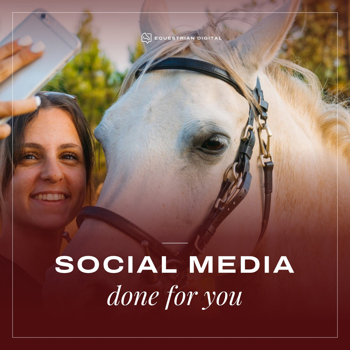 Social Media – Done For You