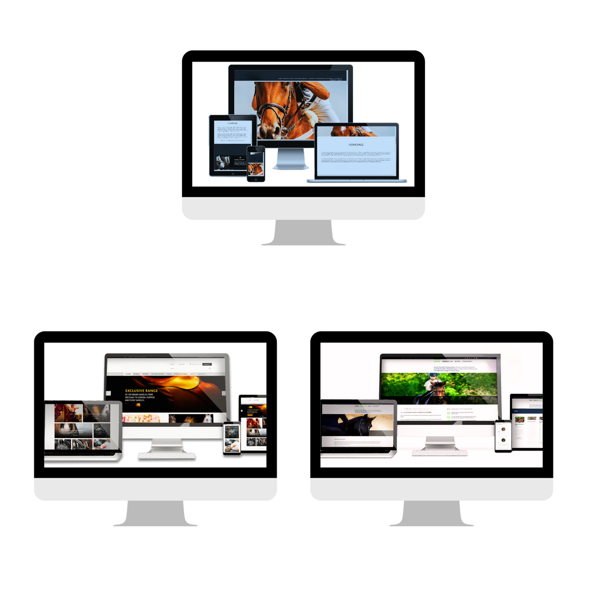 Website Hosting-Monthly