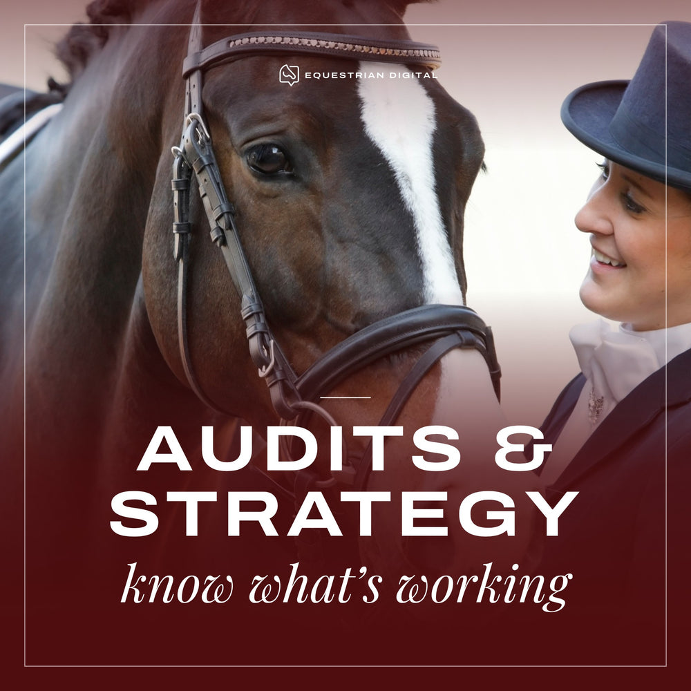 Audits & Strategy