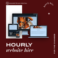 Hourly Website Hire