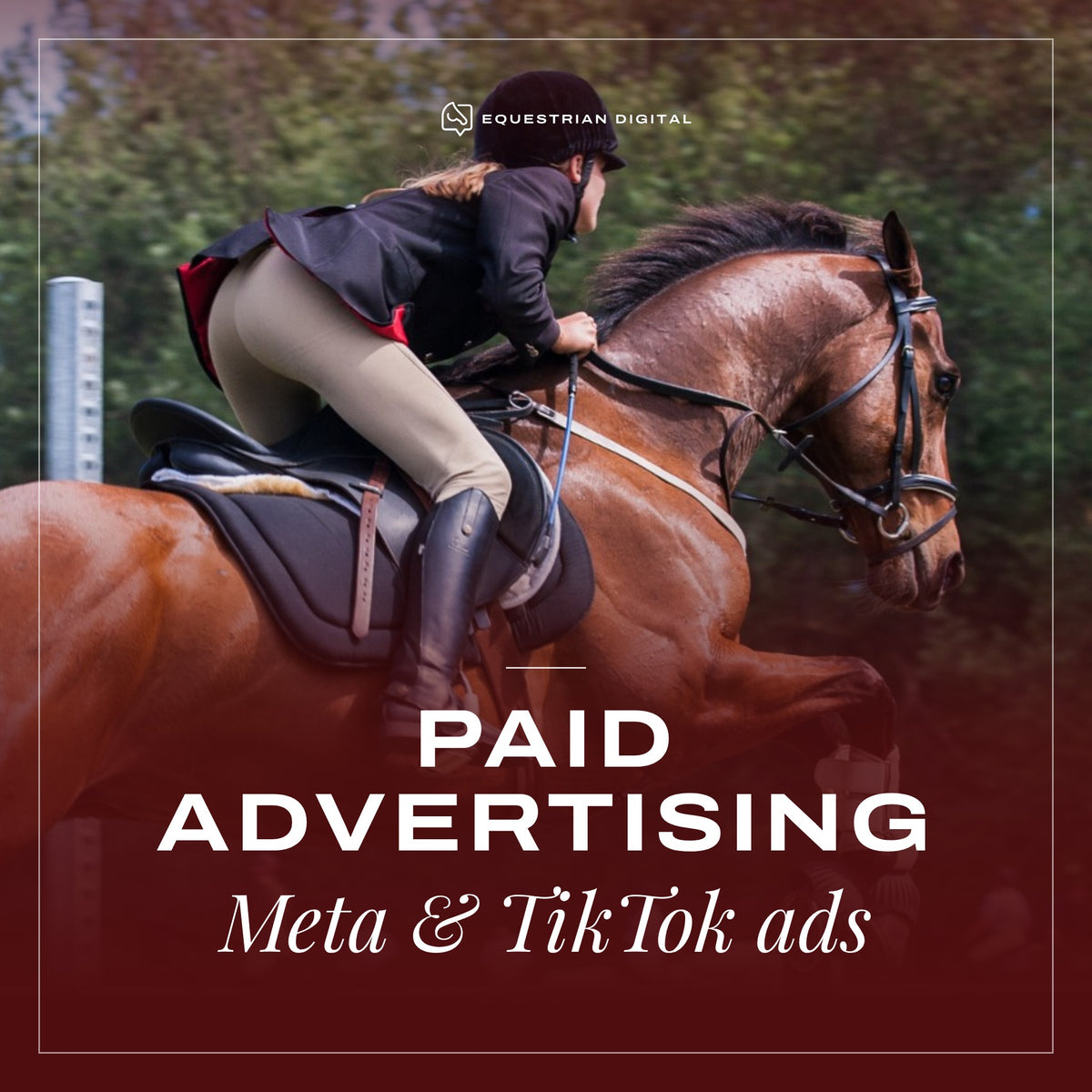 Paid Advertising