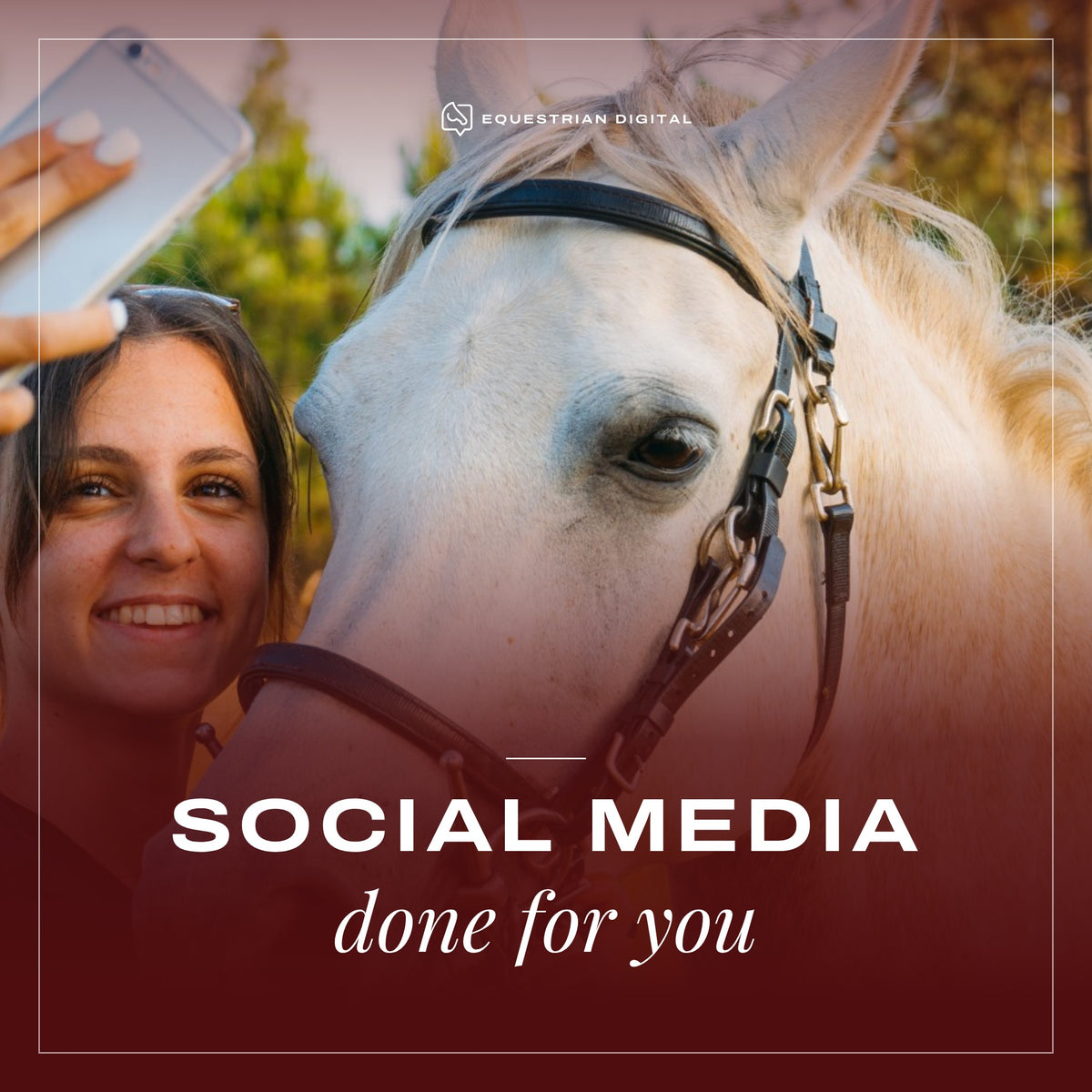 Social Media – Done For You