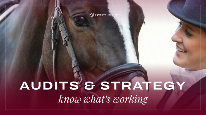 Audits & Strategy