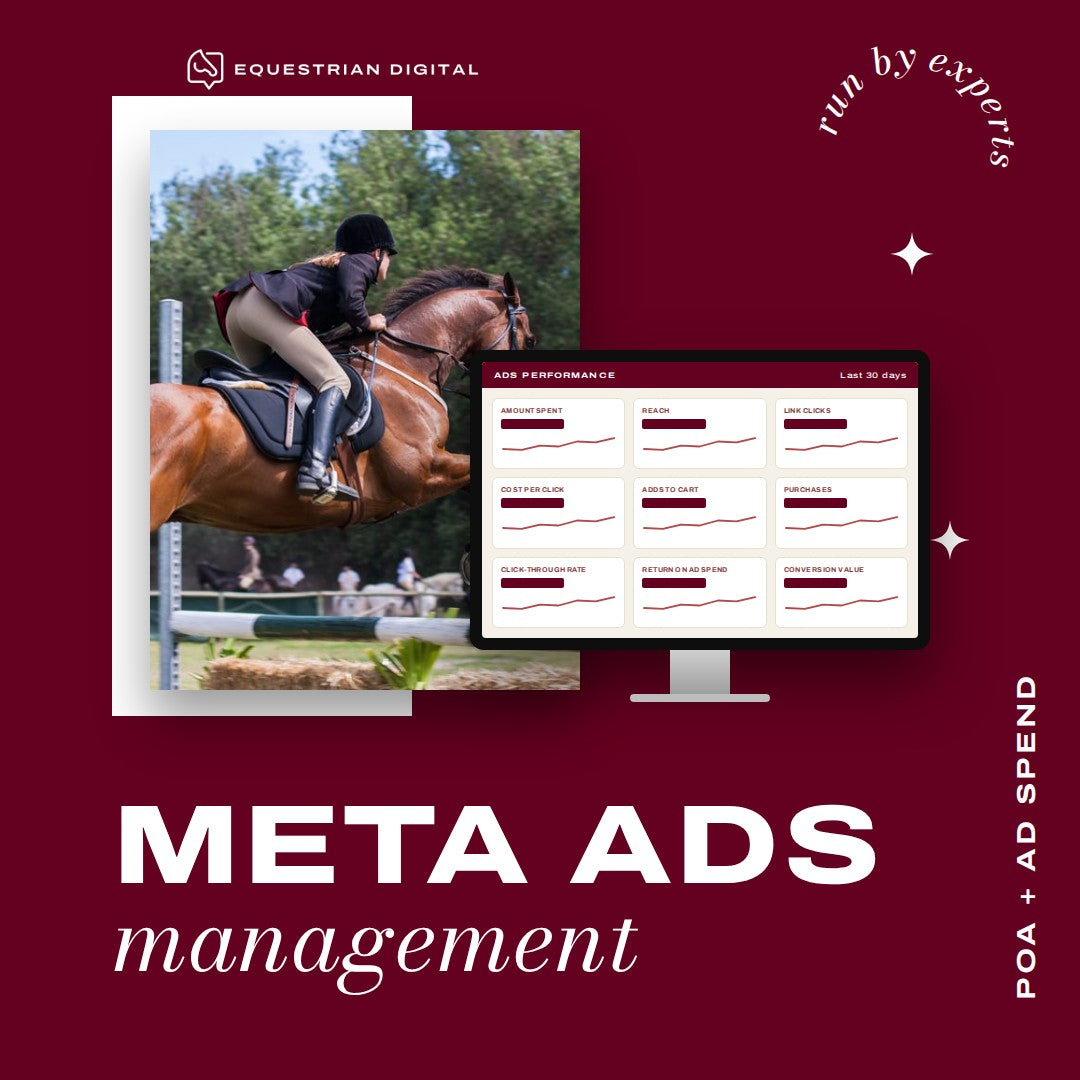 Meta Ads Management