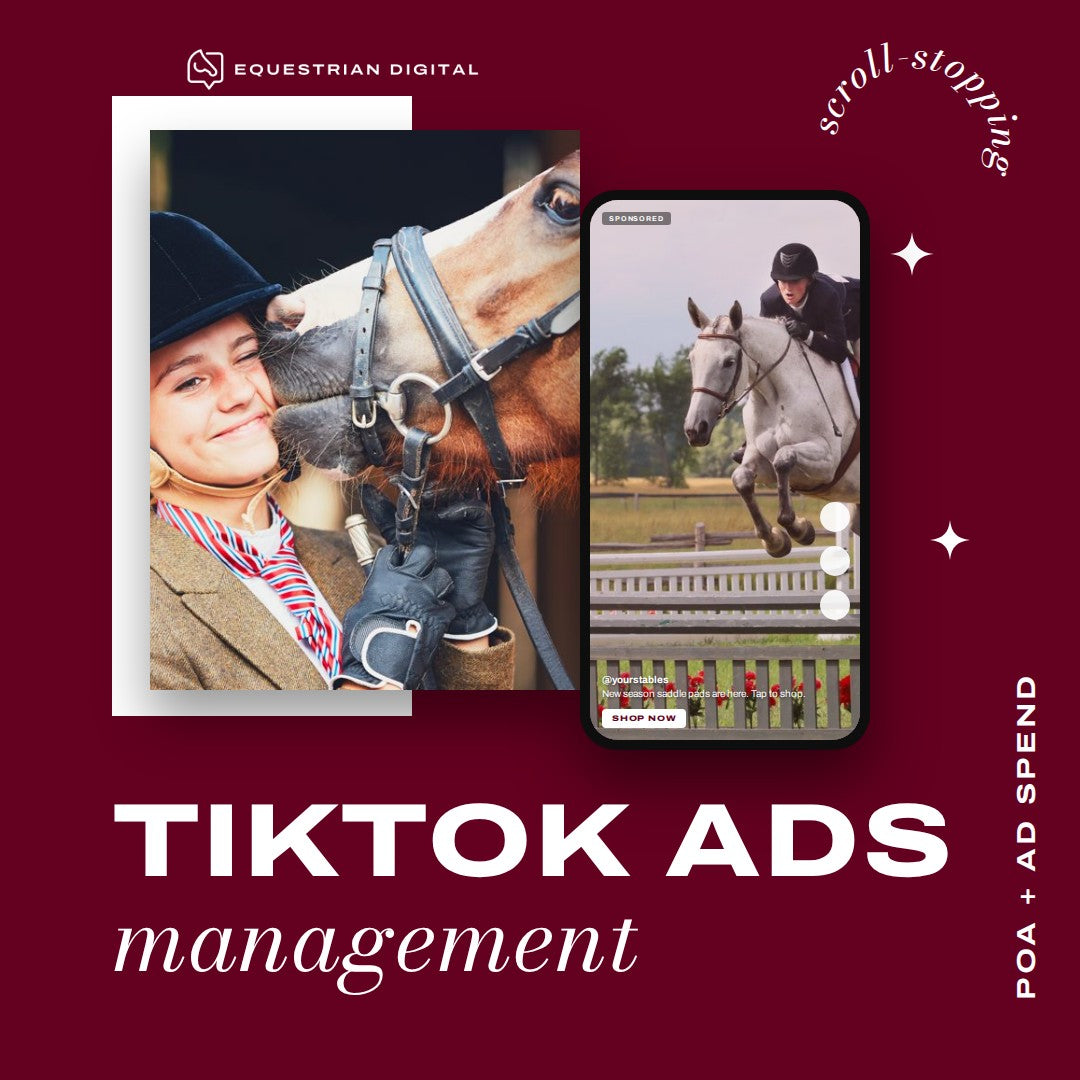 TikTok Ads Management
